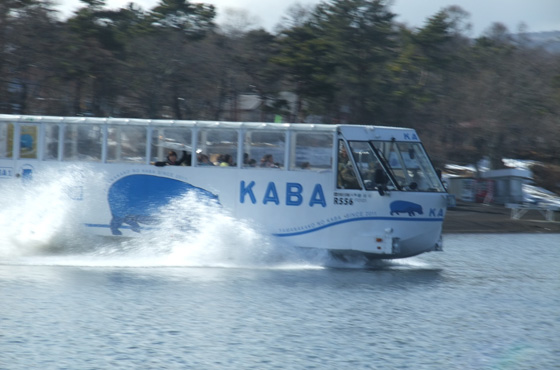 山中湖のカバ