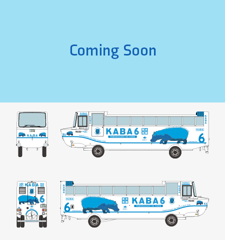 KABA 6号